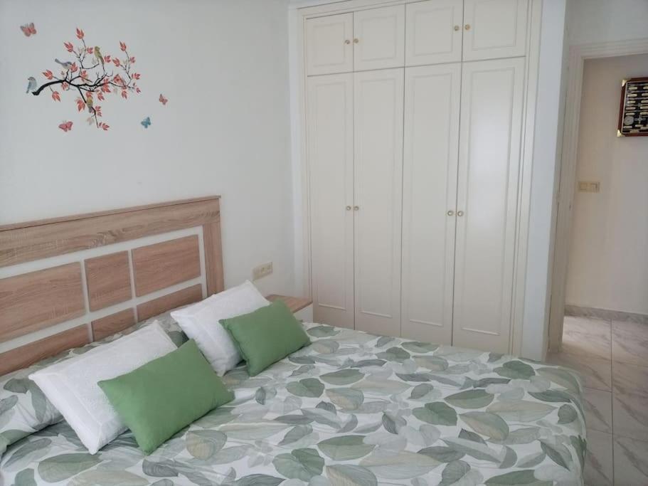 Appartement Mayor 17